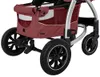 cumpără Сărucior pentru copii Carrello Vista Air 2in1 Ruby Red în Chișinău 
