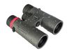 cumpără Binoclu Levenhuk Kelvin Snap 10x42 Photobinoculars în Chișinău 