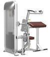купить Силовой комплекс Impulse 826 Biceps/Triceps W/170lbs URPL9023 в Кишинёве 