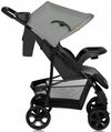 купить Детская коляска Lionelo Emma Plus Grey Dove в Кишинёве 
