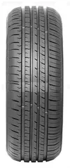 купить Шина Fronway 225/60 R16 102V XL ECOGREEN 55 (2EFW520G) в Кишинёве 