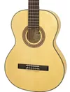 cumpără Chitară Aria A-20F Flamenco Chitara Classic în Chișinău 