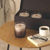 купить Свеча TAGU CandlePlace 3 cu trosnet si miros de semineu в Кишинёве 