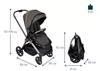 cumpără Сărucior pentru copii Chicco 8702632 Mysa, Bronze Lizard Re Lux, Editie limitata , 0+ luni în Chișinău 