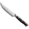 cumpără Cuțit Takumi Seikō Steak Knife (TK-B13S-NP) în Chișinău 