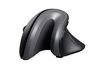 купить Мышь Trust Verro Vertical Ergonomic Wireless, right-handed, Black в Кишинёве 