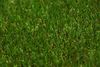 Ландшафтная декоративная трава газон PP 29mm