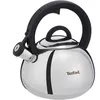 cumpără Ceainic aragaz Tefal N4180310 Duetto+ 2,5l în Chișinău 