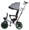 cumpără Bicicletă-cărucior Chipolino Alpha 360° Glacier (TRKAL0232GL) în Chișinău 