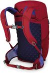 купить Рюкзак спортивный Osprey Jet 18 II cosmic red в Кишинёве 