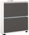 cumpără Raft pentru încălțăminte Mobildor-Lux Leo Slim 100x16x86H cm White/Anthracite în Chișinău 