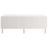 купить Тумба напольная для TV Trendy Sezer L3015 (GTR000270) в Кишинёве 