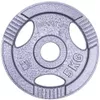 купить Гантель inSPORTline 701 Disc d=30 mm metal 5 kg Hamerton 12710 в Кишинёве 