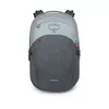 купить Рюкзак городской Osprey Parsec 26 Silver Lining/Tunnel Vision в Кишинёве 