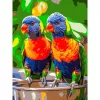 cumpără Tablou pe numere Strateg 58040 Papagali stralucitori 30x40cm în Chișinău 