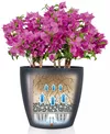 купить Цветочный горшок Lechuza Classico Color 21, Slate в Кишинёве 