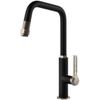 купить Смеситель кухонный Gessi 60053-599 Officine Fino: Brushed Nickel / Matte Black в Кишинёве 