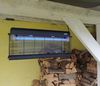 cumpără Aparat anti-insecte Noveen IKN45 IPX4 în Chișinău 