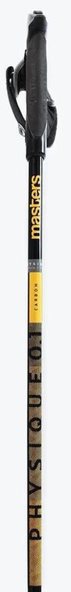 купить Треккинговые палки Masters NW PHYSIQUE 0.1 Carbon 110cm (01N0319 110) в Кишинёве 