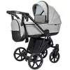купить Детская коляска Angelina Carucior 2in1 Enigma Eco Light Grey E-13 в Кишинёве 