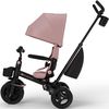 купить Велосипед-коляска KinderKraft KRAVEO02PNK0000 Aveo 2 Plus Pink в Кишинёве 