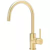 cumpără Bateria bucătărie Reginox R30509 Cano Gold în Chișinău 