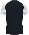 купить Одежда для спорта Joma T-Shirt Academy IV (XS) 101968.102 в Кишинёве 