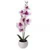 купить Декор Holland 49448 NVT Цветок искусственный Орхидея 39cm в горшке в Кишинёве 