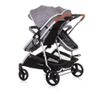 купить Детская коляска Chipolino Duo Smart KBDS02302GT graphite в Кишинёве 