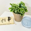 cumpără Ghiveci pentru flori Aleana 115071 Gamma 14x12cm, cacao în Chișinău 