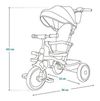 cumpără Bicicletă-cărucior Lionelo Berry Grey Stone în Chișinău 