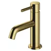 cumpără Baterie lavoar Omnires Y1210NBSB Brushed Brass în Chișinău 
