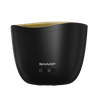 Air Saturator Sharp DF-A1USB01 