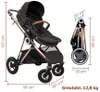 купить Детская коляска BabyGo BGO-76141 3 in 1 AIR Halime Black, cadru Gold в Кишинёве 