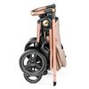 купить Детская коляска Peg Perego IP2600000BA36PI29 Veloce Mon Amour в Кишинёве 
