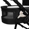 купить Детская коляска Lionelo Carucior 2in1 Mari Tour Black Onyx в Кишинёве 