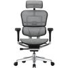 купить Офисное кресло ART Ergohuman Elite 2 BL Natural T-168-B2 EHE2-AB-HAM-5D-L в Кишинёве 