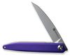 купить Нож походный Sencut S20029-1 Jubil, G10 mov, Liner Lock в Кишинёве 