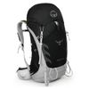 купить Рюкзак Osprey Talon 44 L, 1000387x в Кишинёве 