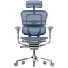 купить Офисное кресло ART Ergohuman Elite 2 Cobalt T-168-B4 EHE2-AG-HAM-5D-L в Кишинёве 