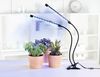 купить Настольная лампа Xavax 112697 Plant Lamp в Кишинёве 