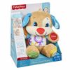 купить Fisher Price Ученый щенок с технологией Smart Stages, рo в Кишинёве 