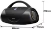 купить Колонка портативная Bluetooth Hisense VOYAGEBOOM в Кишинёве 