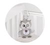 cumpără Jucărie cu pandantiv Chipolino Owl PIKL02502OWL плюш муз în Chișinău 