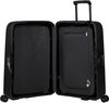 купить Чемодан Samsonite Magnum Eco (139846/1374) в Кишинёве 