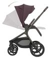 cumpără Сărucior pentru copii Kikka Boo 31001020173 Carucior 2in1 Goya Platinum Merlot în Chișinău 