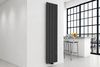 cumpără Radiator Carisa BURANO 1800x375 Text Anthracite (4 elem) dt30=370w alum în Chișinău 