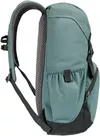 купить Рюкзак спортивный Deuter Walker 20 jade-ivy в Кишинёве 