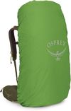 купить Туристический рюкзак Osprey Kestrel 68 Moss Green (810165746893) в Кишинёве 