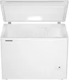 купить Морозильник Liebherr CFe 1870 Pure в Кишинёве 